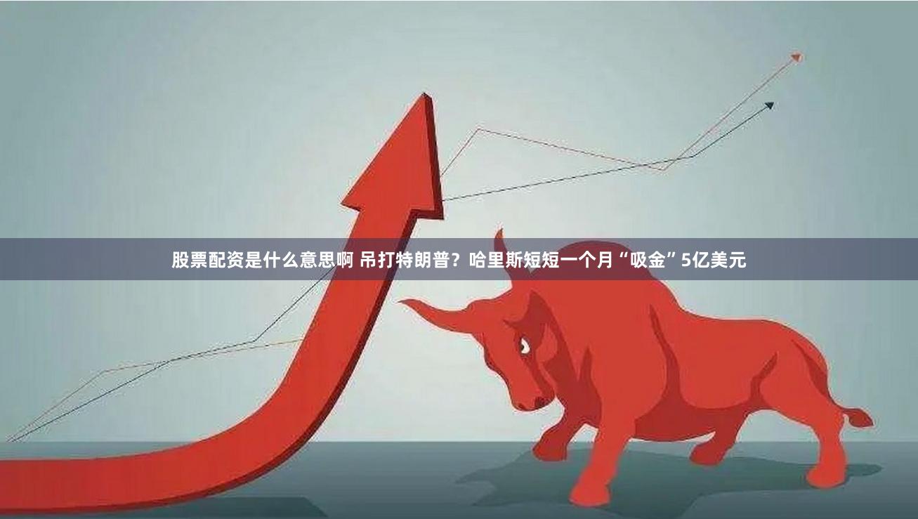 股票配资是什么意思啊 吊打特朗普？哈里斯短短一个月“吸金”5亿美元